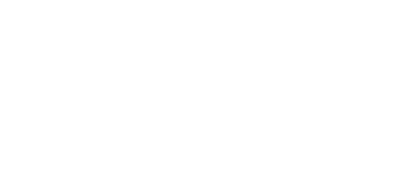پاکستان نیٹ پے logo